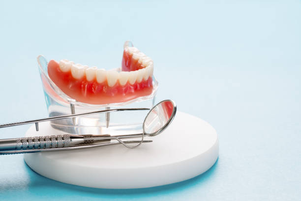 Best Preventive Dentistry  in Platteville, CO